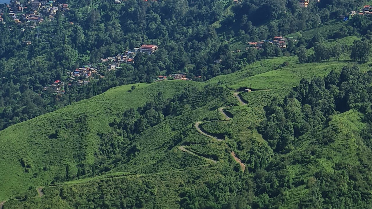 Darjeeling & Gangtok Classic — The two hill capitals, done properly, in six days